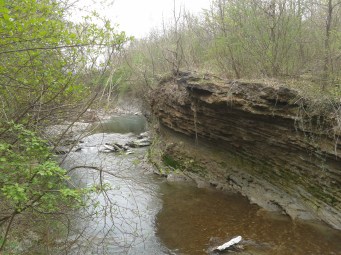 Splendidi calanchi nel torrente Stirone.